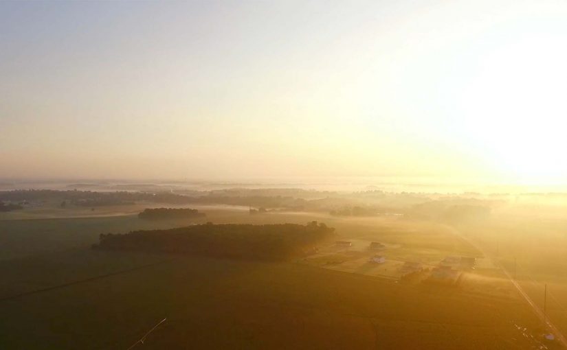 The Beauty Behind Canned & Frozen Produce