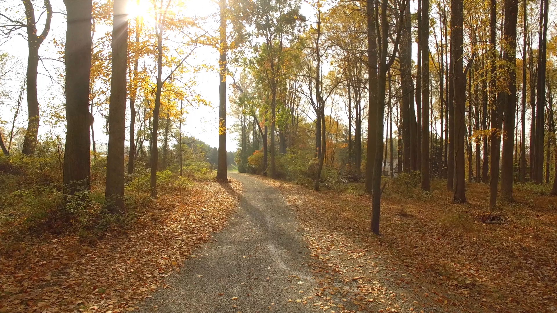 MAKE | 2017 Highlight Reel