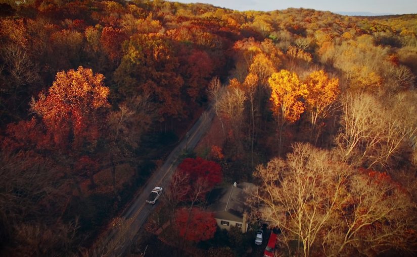 Are you cut out for this ride?