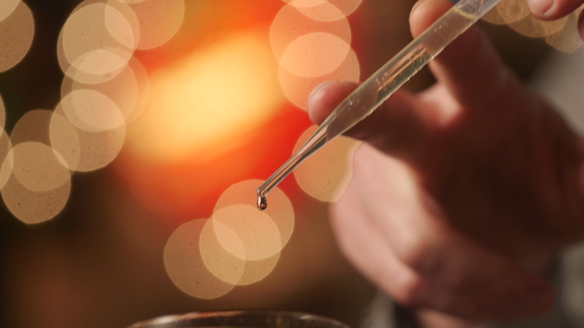 MAKE original | The Black Walnut by Benjamin Hash