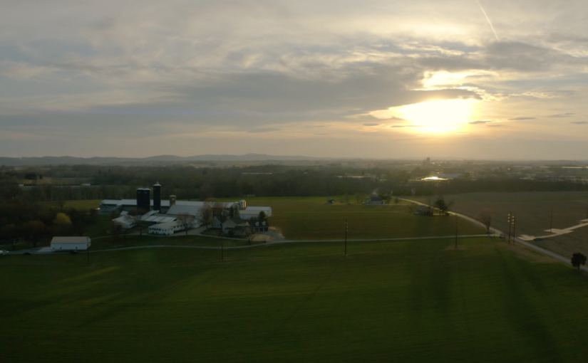 Need some zen? Watch this.