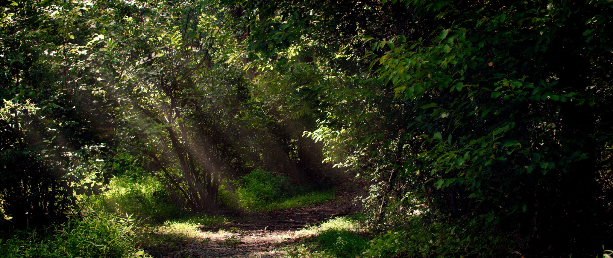 Wish You Were Here - docuseries by MAKE/FILMS