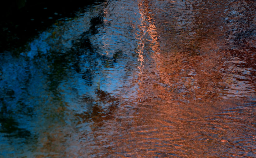 EPISODE 1 TRAILER | WISH YOU WERE HERE