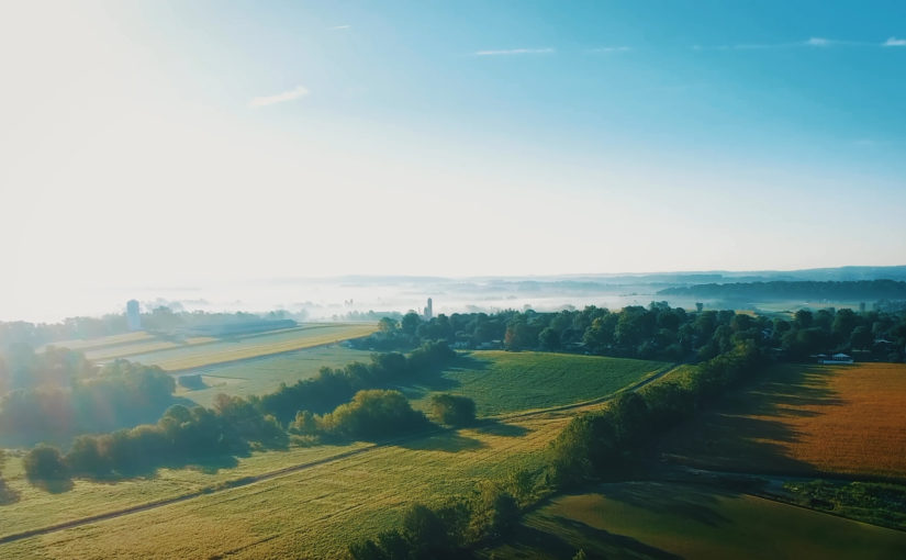 Recovery Lancaster | Let’s Get Back to Business