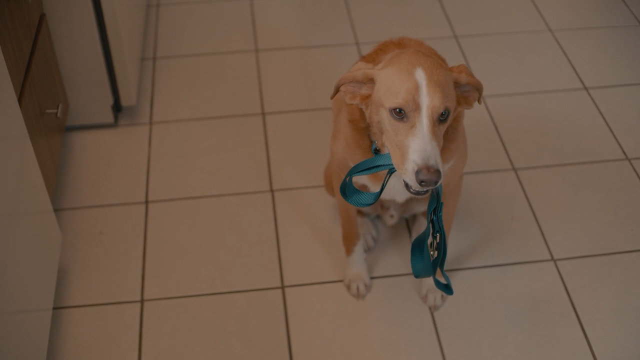 For The Love Of Alex | I Want to Save a Life