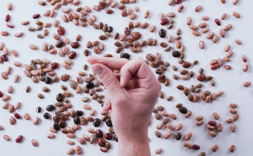 Arkema | Advanced Bio-Circular Materials