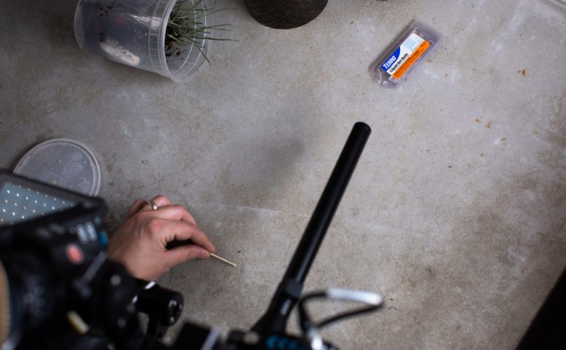 NEW SPOT FOR TERRO’S TIK TOK