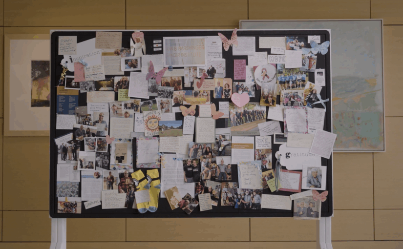 Gingham Gala, Lancaster General Patient Fund